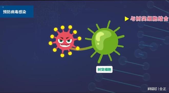 蓝耳净化：铁栏32技术领先不止一个维度(图4)