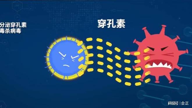 蓝耳净化：铁栏32技术领先不止一个维度(图6)