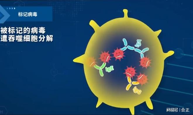 蓝耳净化：铁栏32技术领先不止一个维度(图8)