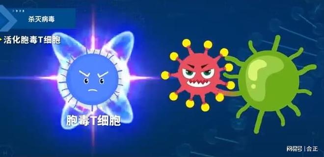 蓝耳净化：铁栏32技术领先不止一个维度(图9)