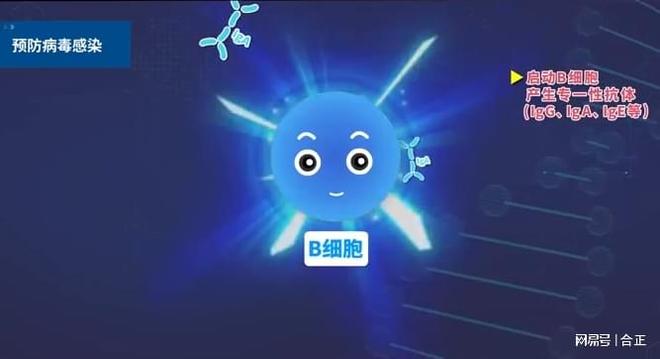 蓝耳净化：铁栏32技术领先不止一个维度(图12)