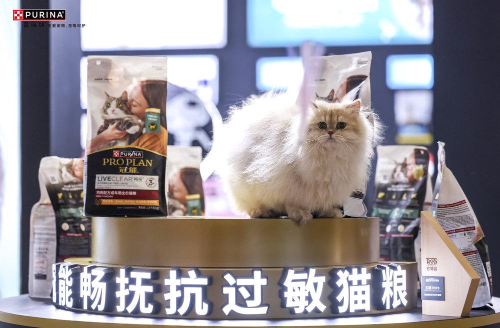 科学营养、一生免疫冠能携宠物全生命周期健康解决方案闪耀它博会(图2)