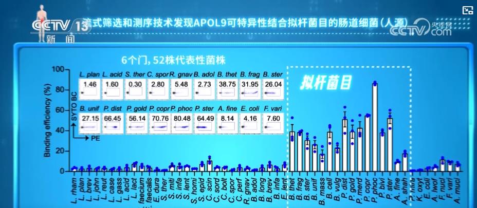 中国科学家破解肠道免疫调控密码 为疾病治疗开辟新路(图2)