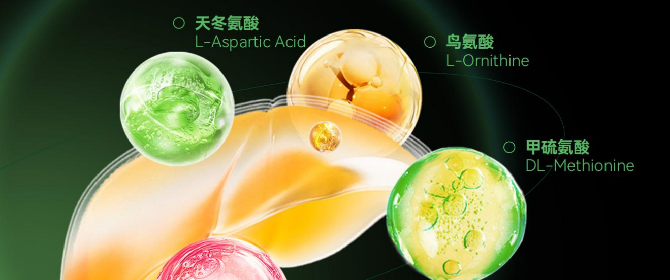 肥胖人群成肝脏受损重灾区LAIFE「乐轻肝」减腹更减负(图2)