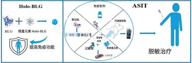 猫毛过敏科研突破！洛卫家专利技术如何用IgY为猫咪带来健康(图5)