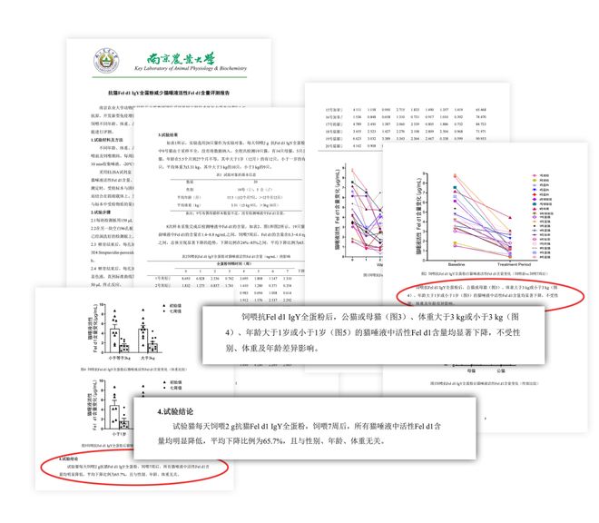 猫毛过敏科研突破！洛卫家专利技术如何用IgY为猫咪带来健康(图4)
