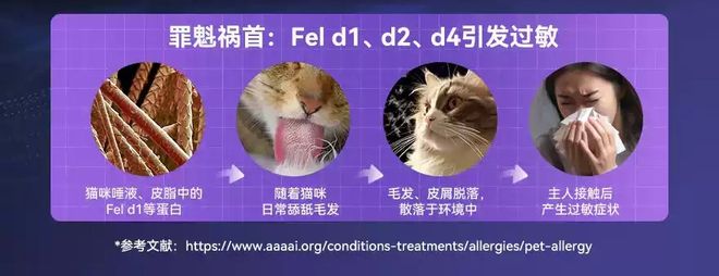 猫毛过敏科研突破！洛卫家专利技术如何用IgY为猫咪带来健康(图2)