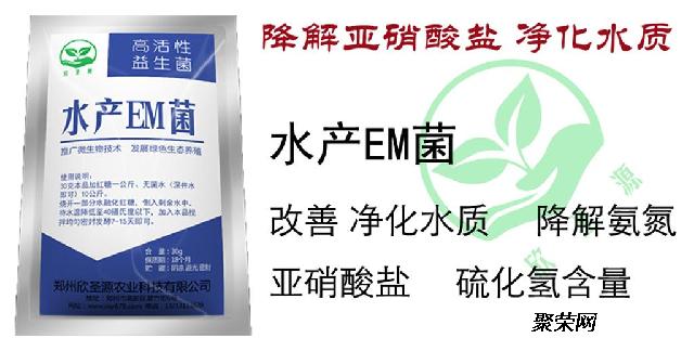 活性益生菌居然可以除甲醛科里思特让您的空气更加洁净
