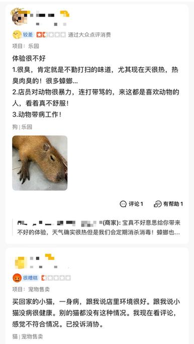 卡皮巴拉、羊驼入驻商场、写字楼 究竟暗藏哪些隐患？(图7)