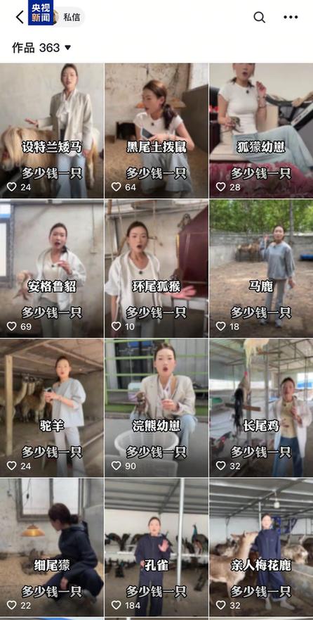 卡皮巴拉、羊驼入驻商场、写字楼 究竟暗藏哪些隐患？(图5)