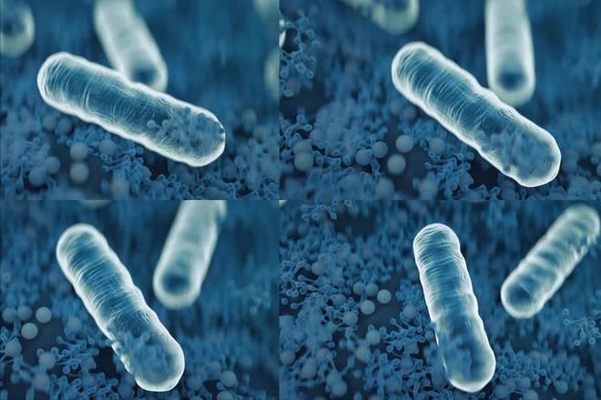 大蒜立大功？浙大研究发现：大蒜可在24小时清除20%有害菌群？(图2)