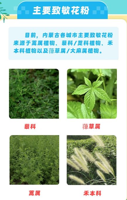 进入集中爆发期 ！呼和浩特已有多人中招医生紧急提醒！(图2)