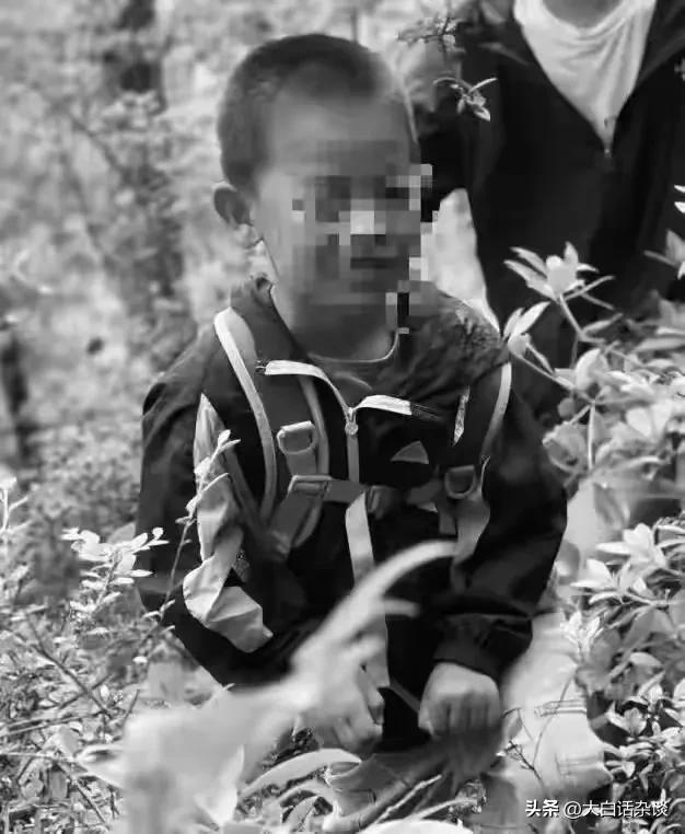 痛心！苍山8岁男童已离世本来有三次生存机会但都被完美错开(图2)