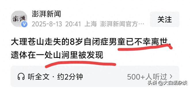 痛心！苍山8岁男童已离世本来有三次生存机会但都被完美错开(图1)