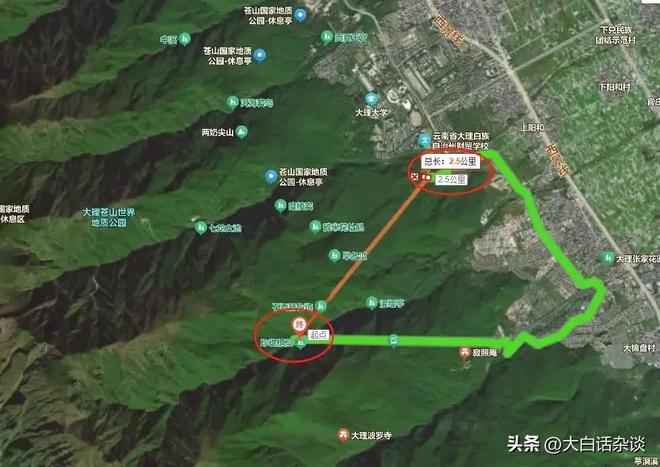 痛心！苍山8岁男童已离世本来有三次生存机会但都被完美错开(图5)