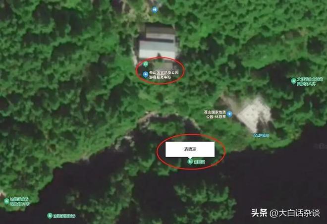 痛心！苍山8岁男童已离世本来有三次生存机会但都被完美错开(图7)