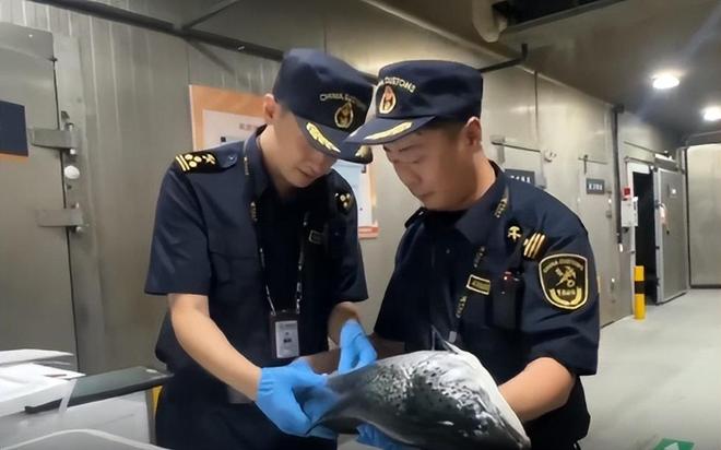 风波不断！澳洲三文鱼、生蚝全爆雷这次连超市都慌了(图3)