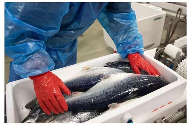 风波不断！澳洲三文鱼、生蚝全爆雷这次连超市都慌了(图4)