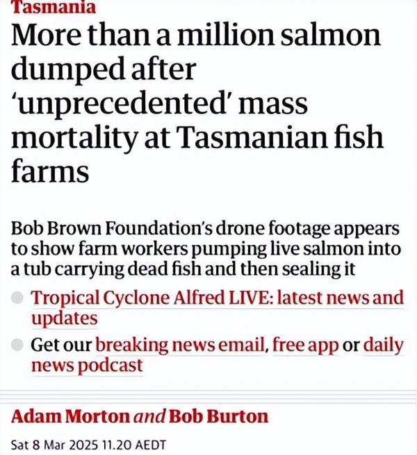 风波不断！澳洲三文鱼、生蚝全爆雷这次连超市都慌了(图8)