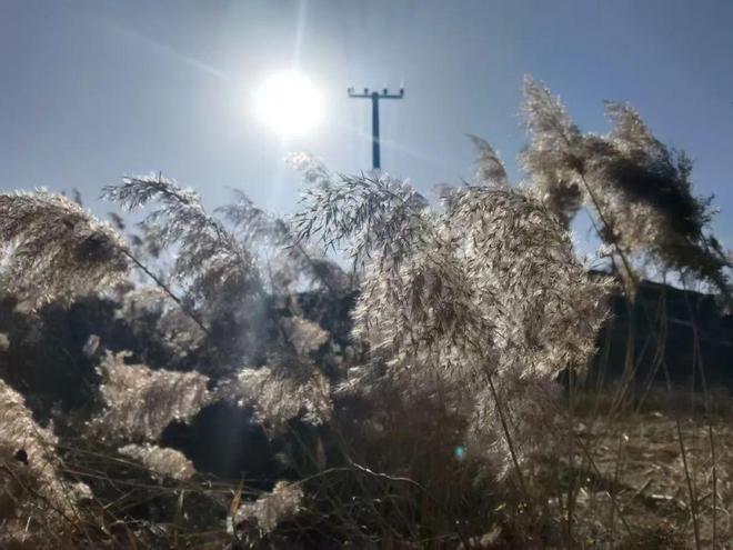 “是涝是旱就看五月初七”明日五月初七有啥说法？早了解(图2)