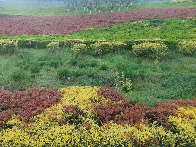 “是涝是旱就看五月初七”明日五月初七有啥说法？早了解(图3)