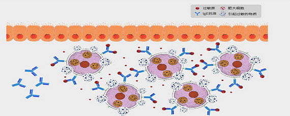含未申报过敏原 越南出口芒果干被通报