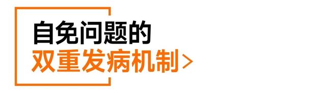 绝大多数自免问题的真正起点可能就是你以为没问题的那一口食物！(图5)