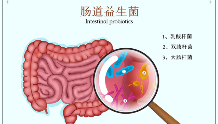 益生菌十大品牌排行榜 益生菌十大品牌排行榜是(图1)