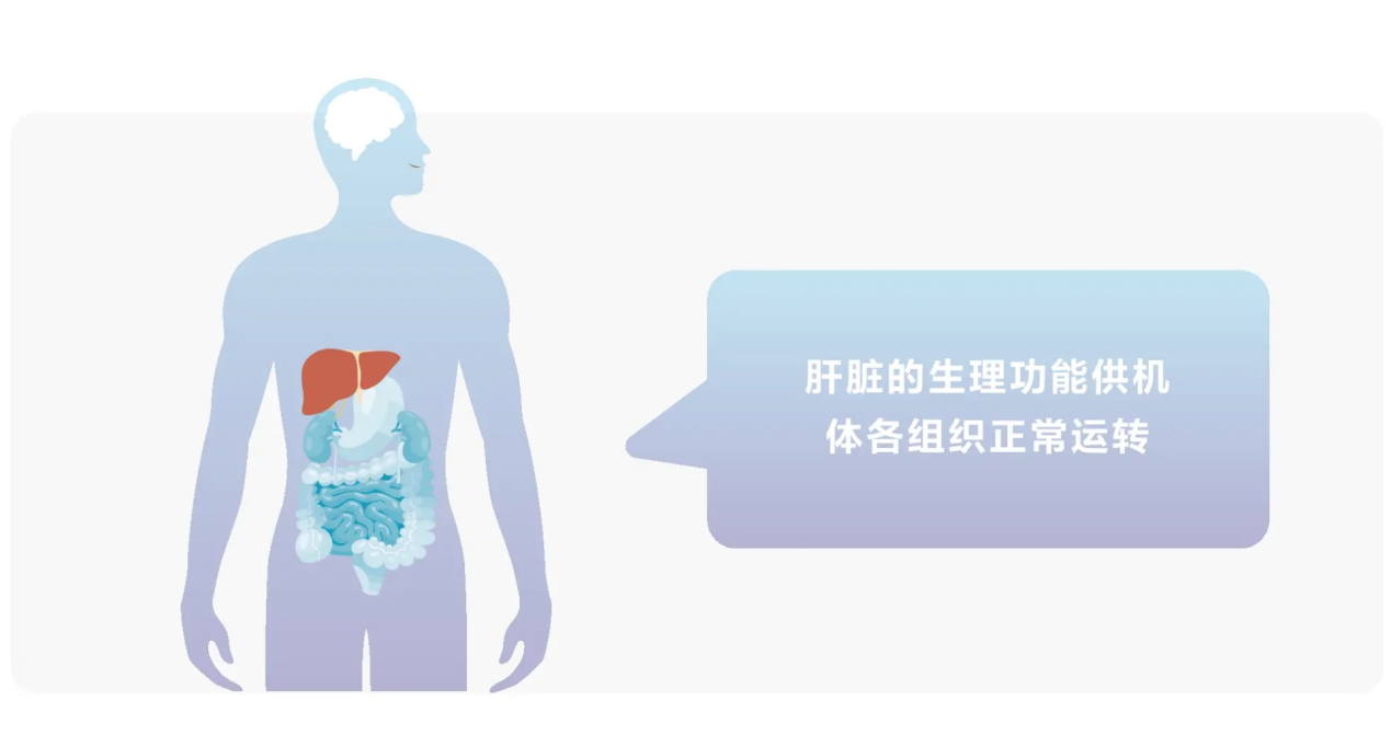 护肝市场热度攀升LAIFE「乐轻肝」引领效果可视化新纪元_国内新闻_聊城大众网(图1) 护肝市场热度攀升LAIFE「乐轻肝」引领效果可视化新纪元_国内新闻_聊城大众网(图1)