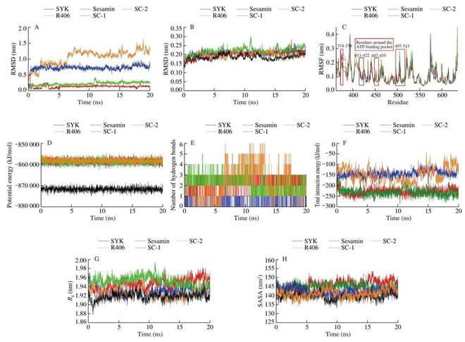 FSHW 芝麻素靶向脾脏酪氨酸激酶缓解IgE介导的食物过敏反应研究机制(图6)