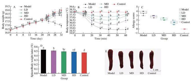 FSHW 芝麻素靶向脾脏酪氨酸激酶缓解IgE介导的食物过敏反应研究机制(图10)
