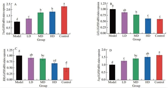 FSHW 芝麻素靶向脾脏酪氨酸激酶缓解IgE介导的食物过敏反应研究机制(图12)
