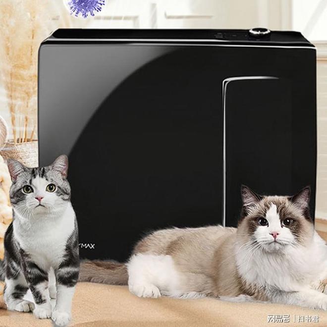 猫毛空气净化器有用吗？宠物空气净化器吸猫毛有用吗？(图5)