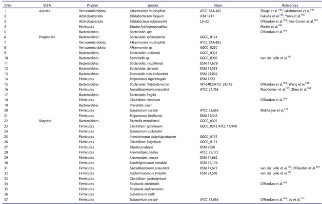 肠道菌群 ×T 细胞：这对 “黄金搭档” 如何维持身体平衡？(图2)