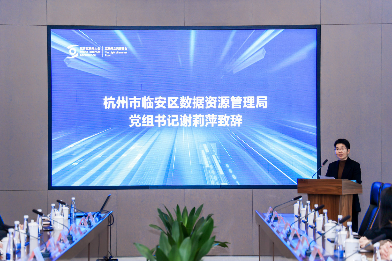 2025乌镇世界互联网大会：临安绿色低碳数据产品对接活动顺利举行(图2)