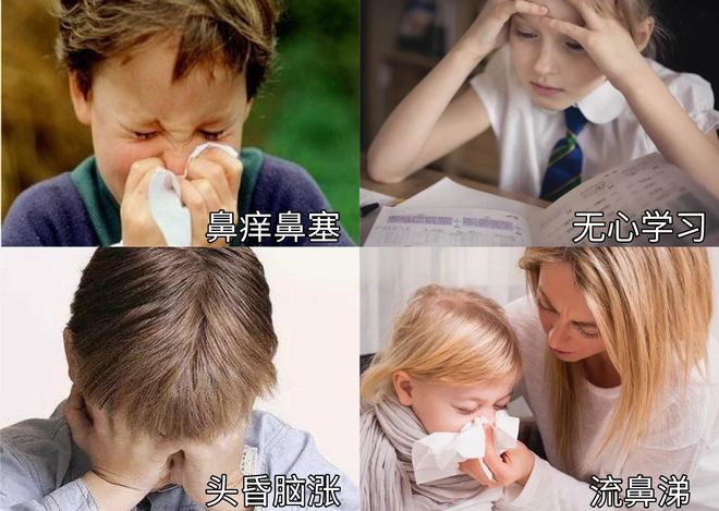 试遍了治鼻炎的方法我发现这1种真的很有用(图6)