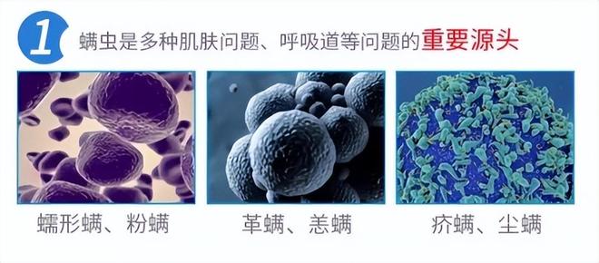 除螨喷雾能除螨吗？2026解析喷雾又好又实用TOP1效果强(图1)