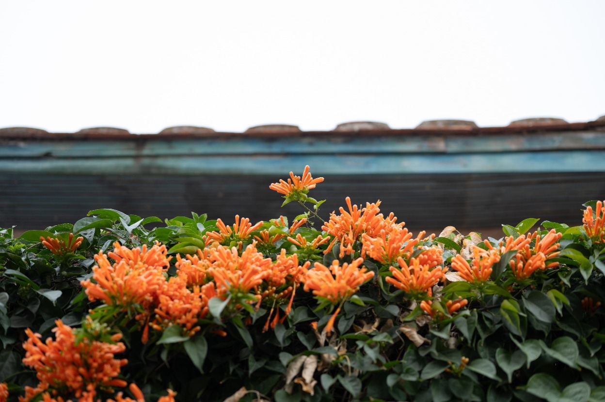 2026年立春具体时间是几点几分 今年几点打春准确时间表(图1)