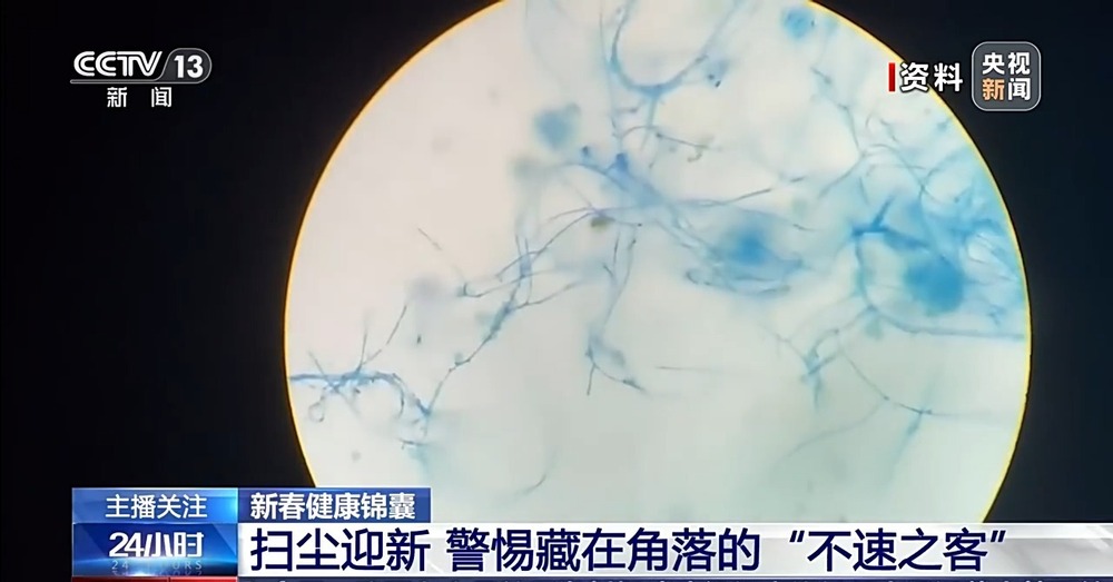 视频丨节前大扫除必看 别让角落里的“不速之客”威胁家人健康(图2)