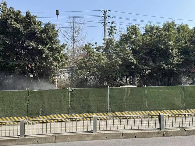 “过敏星人”注意！圆柏花粉致敏季又来临 成都市园林局：正开展治理工作(图4)