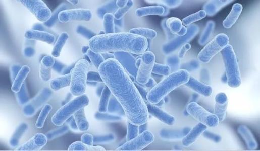 让人难以拒绝的清洁方式——益生菌清洁