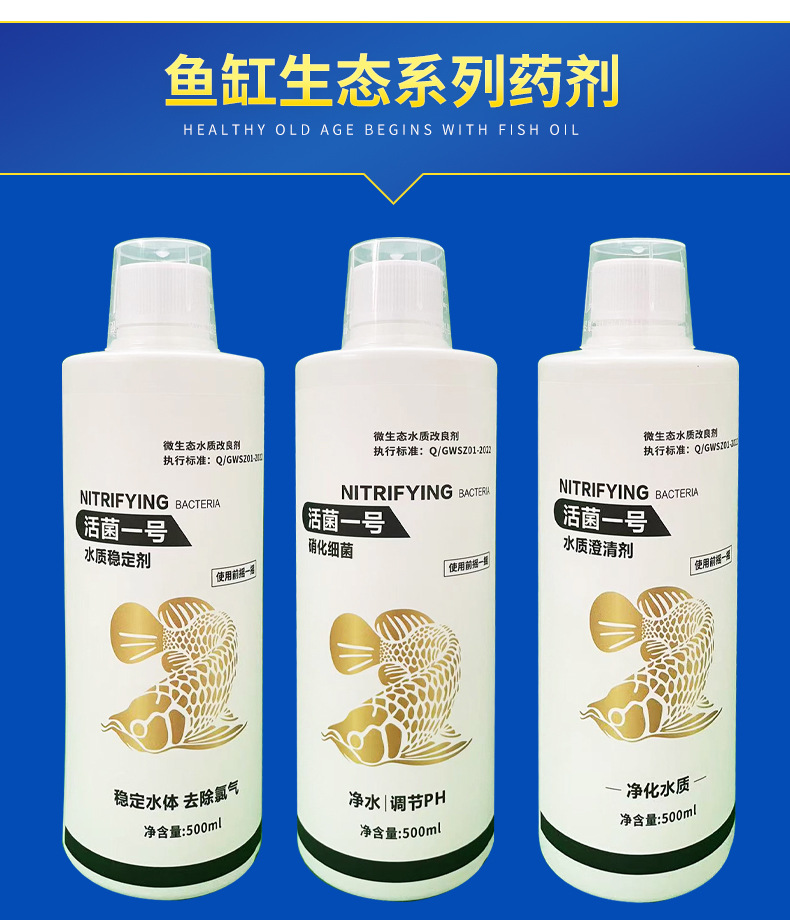 深度调研 闽宁协作“海鱼陆养”的探索和启示