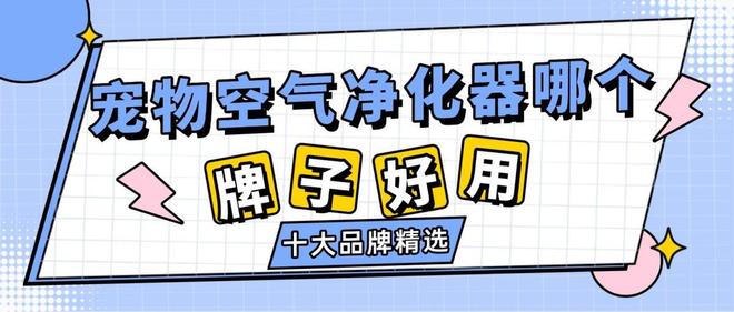 宠物空气净化器哪个牌子好用？十大品牌精选跟浮毛、异味say拜拜(图1)