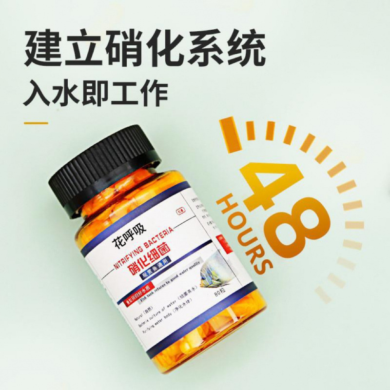 「百可测」用“人造生物膜”守护太湖生态获省长调研关注【壹计划】