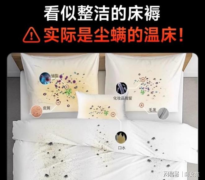 除螨仪谁家好用一点？精心筛选2026年度除螨仪排行榜前十名！(图1)