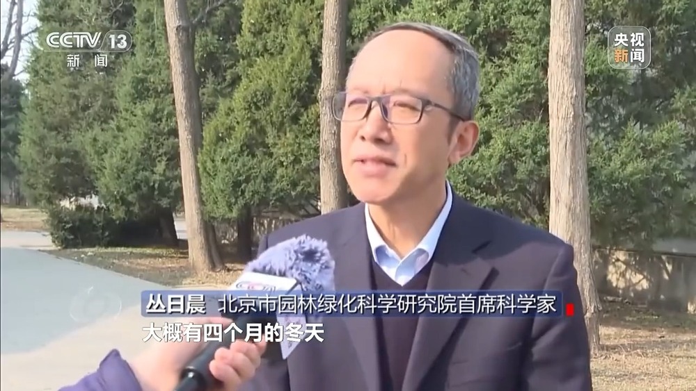 焦点访谈丨花粉过敏成“隐形烦恼” 生态和健康之间如何找平衡？(图4)