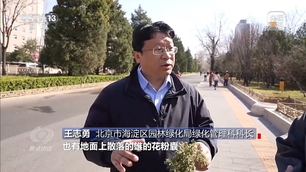 焦点访谈丨花粉过敏成“隐形烦恼” 生态和健康之间如何找平衡？(图7)