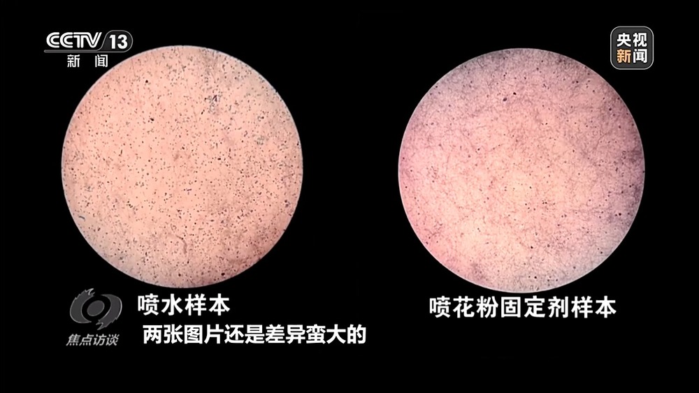 焦点访谈丨花粉过敏成“隐形烦恼” 生态和健康之间如何找平衡？(图8)