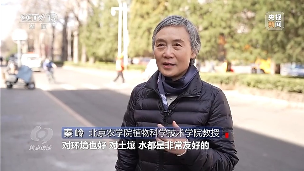焦点访谈丨花粉过敏成“隐形烦恼” 生态和健康之间如何找平衡？(图6)