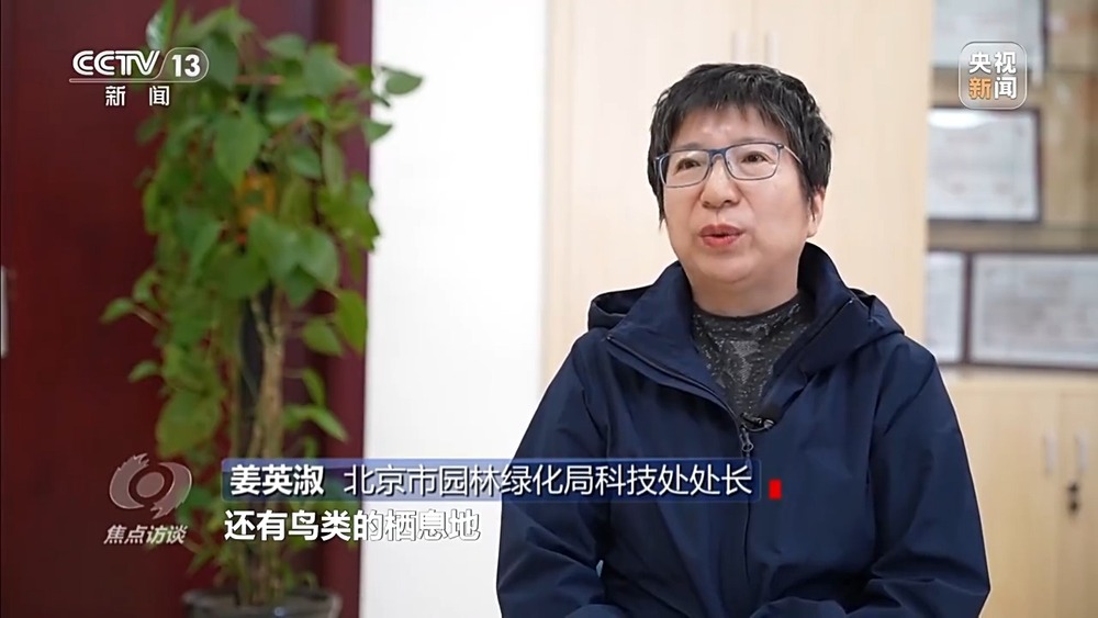 焦点访谈丨花粉过敏成“隐形烦恼” 生态和健康之间如何找平衡？(图5)